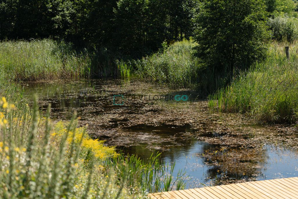 dom letniskowy, 6 pokoi Mrągowo. Zdjęcie 5