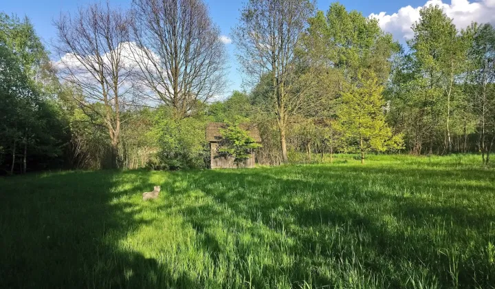 Działka rekreacyjna Glinik Górny Poddział