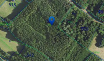 Działka leśna Zagórze Świtałówka