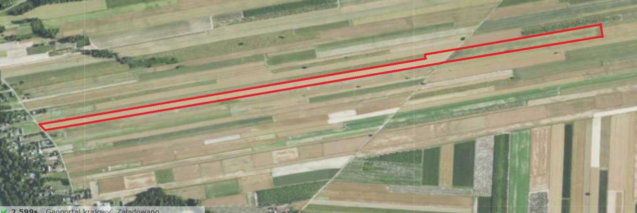 Działka rolna Rybczewice Pierwsze. Zdjęcie 5