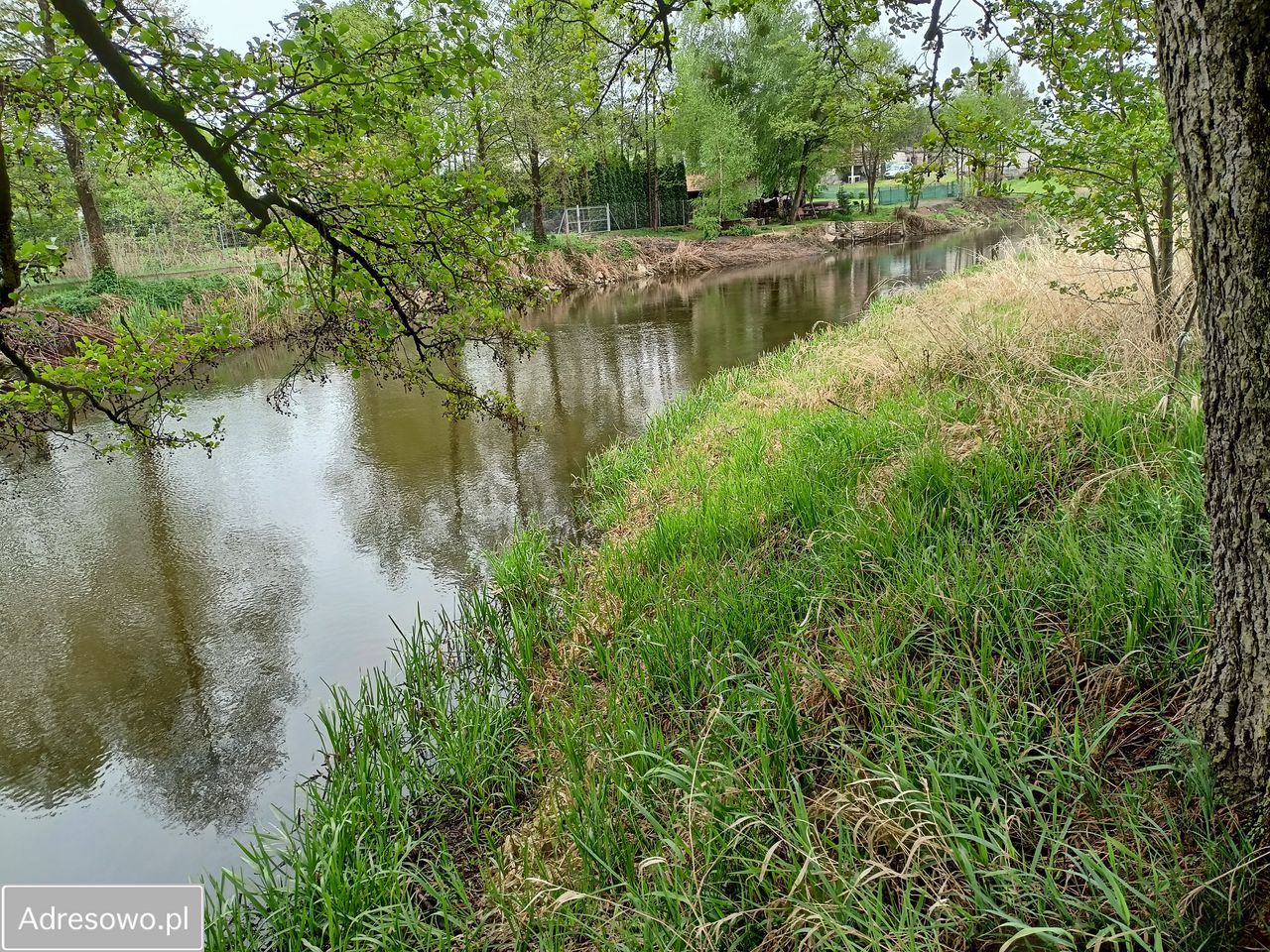 Działka rolna Popiołki. Zdjęcie 6