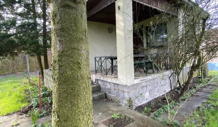 Działka rod Piła, ul. Szymanowskiego