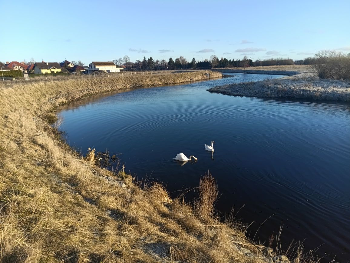 Działka budowlana Darłowo Centrum, ul. Wiśniowa. Zdjęcie 8