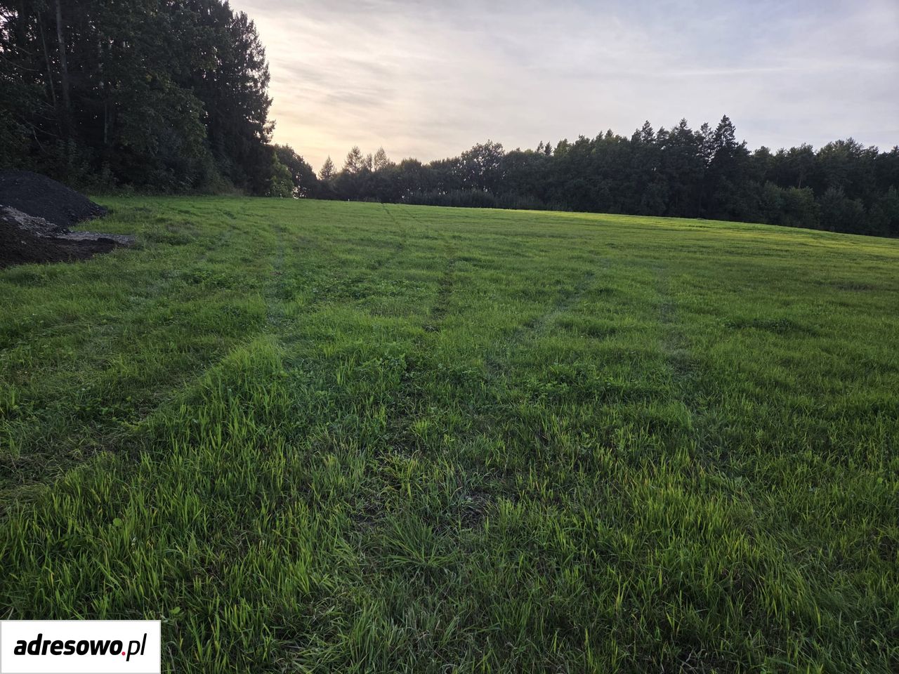 Działka rolno-budowlana Niedalino. Zdjęcie 7