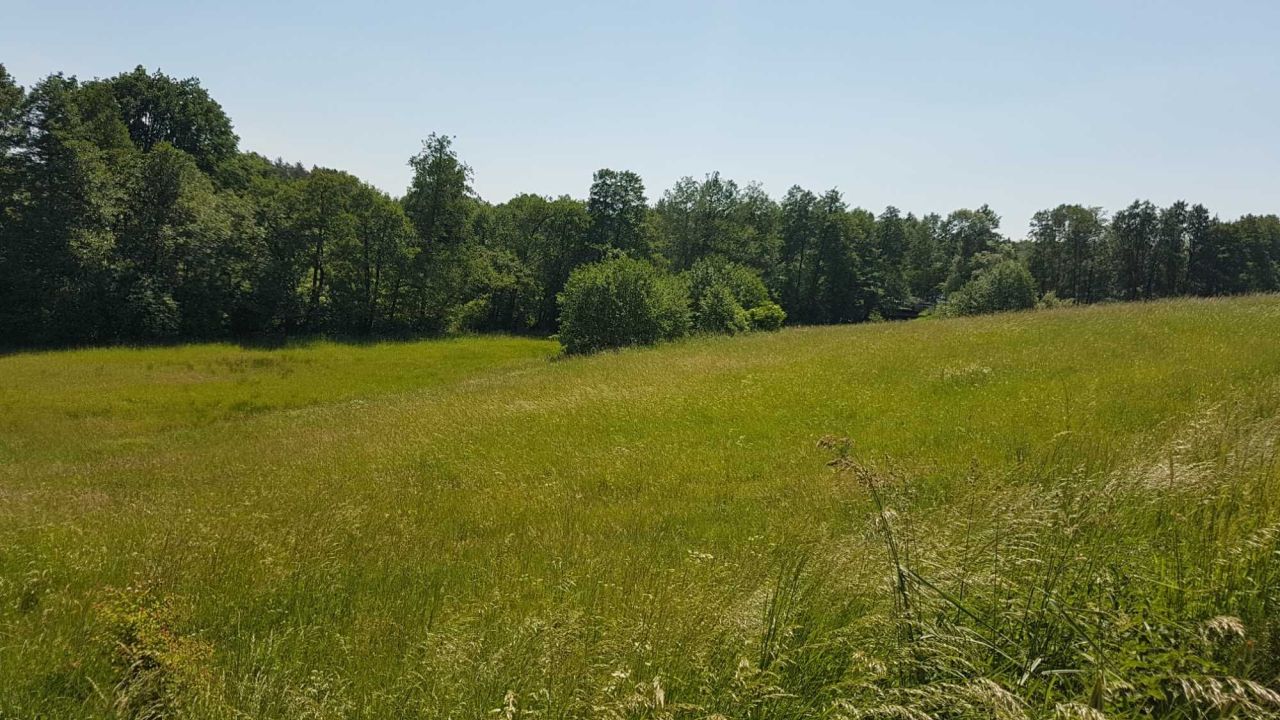 Działka rolna Chrztowo. Zdjęcie 7