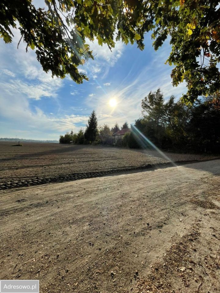 Działka budowlana Promienko Wiktorówka, ul. Tawułowa. Zdjęcie 7