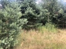 Działka budowlana Gniewięcin. Zdjęcie 1