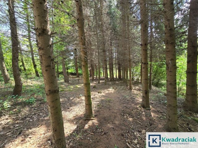 Działka inwestycyjna Turze Pole. Zdjęcie 10