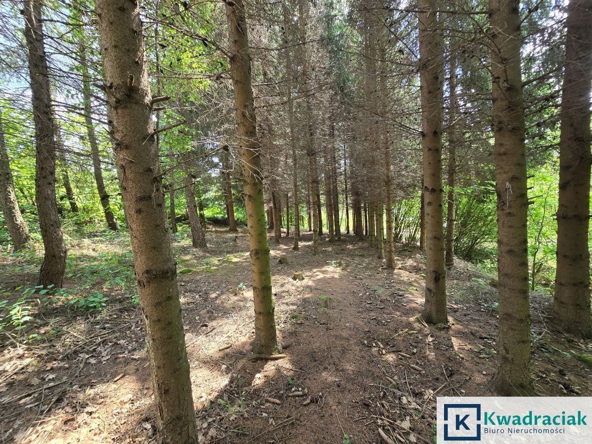 Działka inwestycyjna Turze Pole. Zdjęcie 10