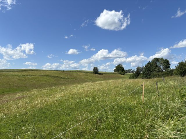 Działka rolna Dźwierzuty, ul. Michała Kajki. Zdjęcie 1