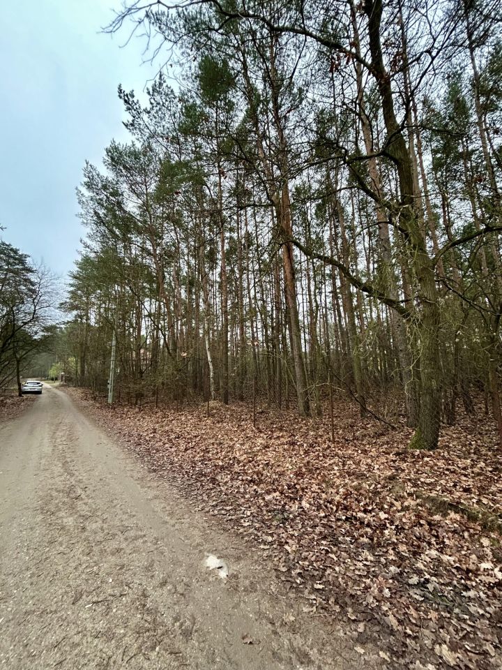 Działka leśna Legionowo, ul. Dębowa. Zdjęcie 2