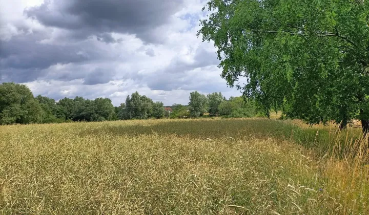 Działka budowlana Cieszeniewo