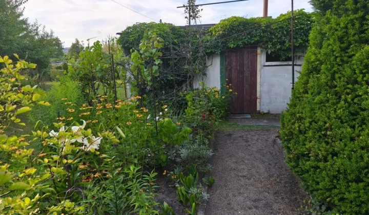 Działka rod Bydgoszcz