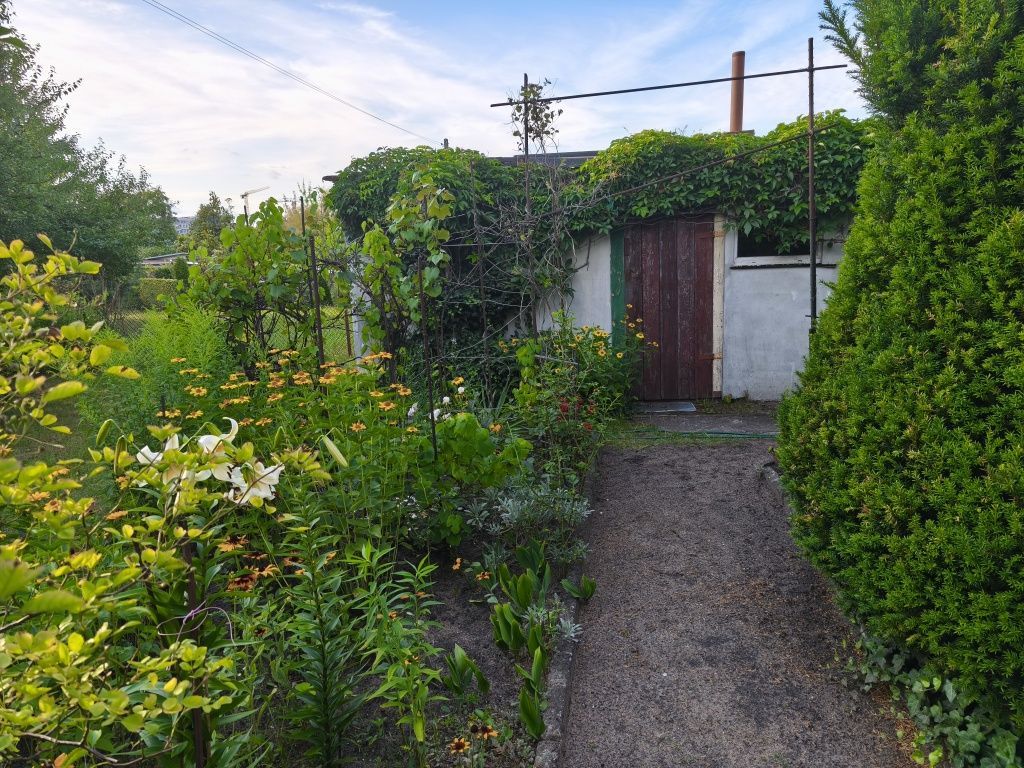 Działka rod Bydgoszcz. Zdjęcie 1