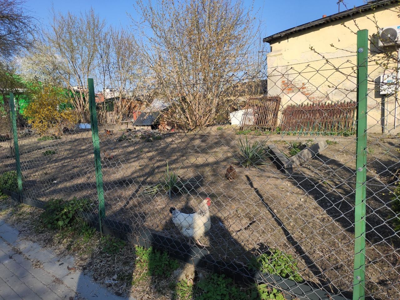 Działka inwestycyjna Zamość, ul. Partyzantów. Zdjęcie 3