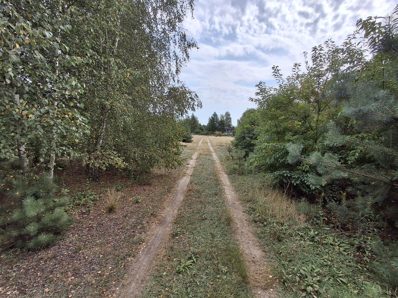 Działka rolna Nowa Wieś. Zdjęcie 2