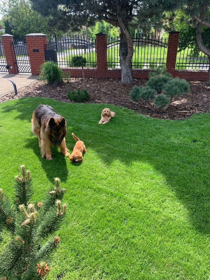 dom wolnostojący, 6 pokoi Józefów, ul. Główna. Zdjęcie 6