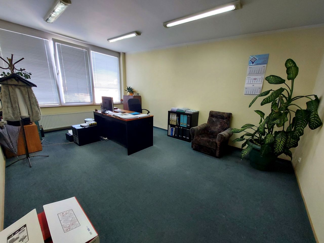 Mieszkanie 7-pokojowe Toruń Stare Miasto, ul. Odrodzenia. Zdjęcie 3