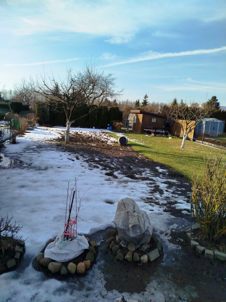 Działka rod Brusy. Zdjęcie 4