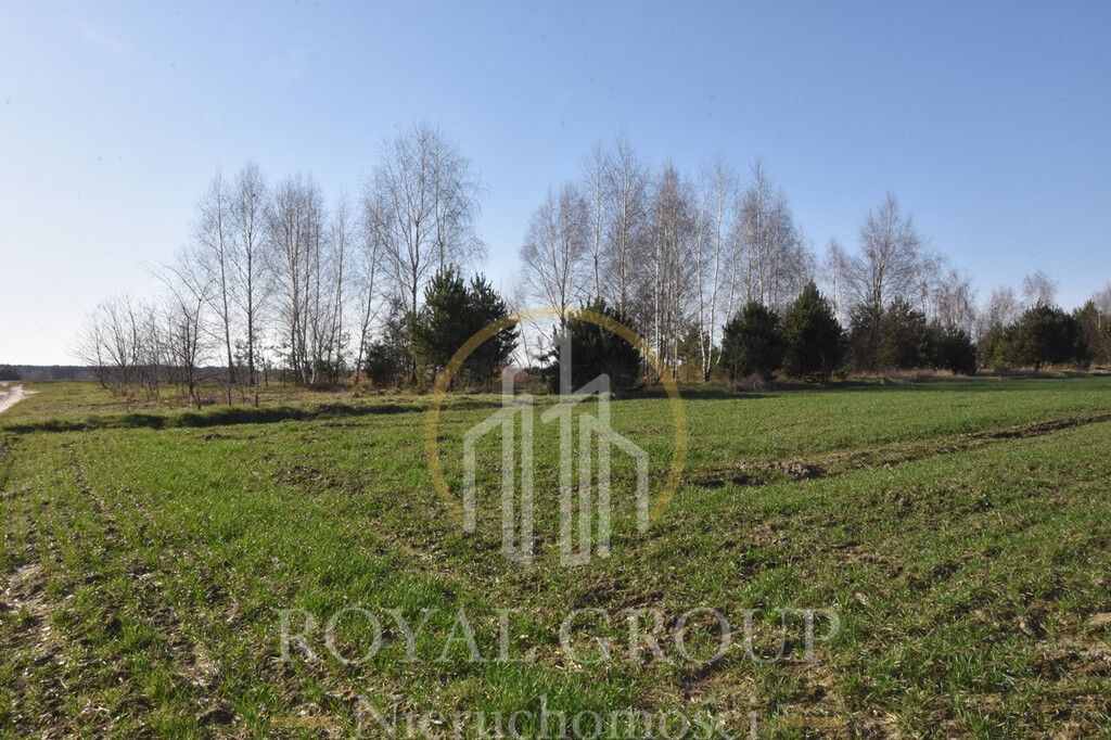 Działka Kunów. Zdjęcie 5