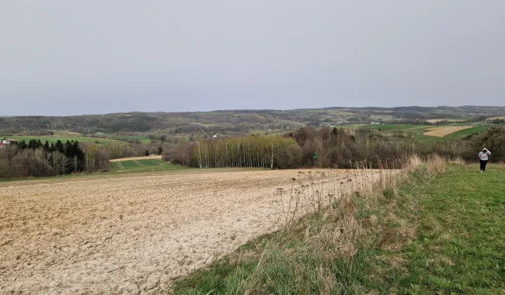 Działka rolna Futoma