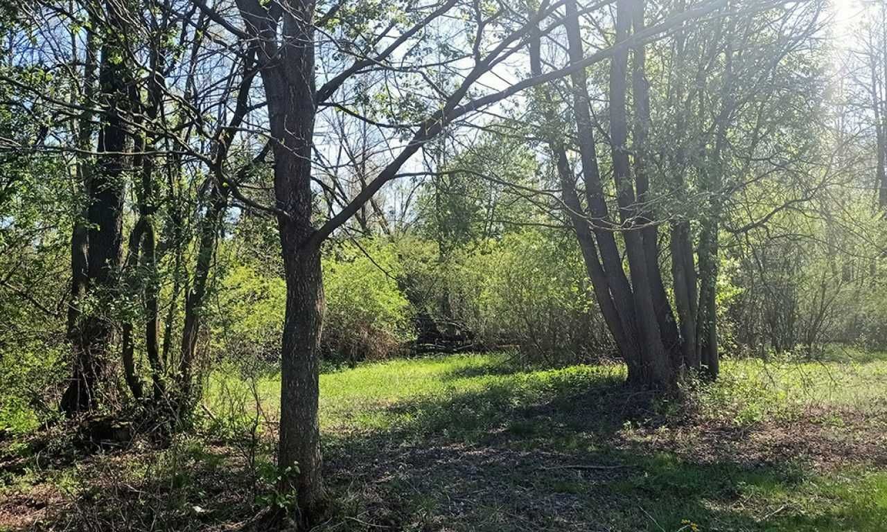 Działka siedliskowa Podbiel. Zdjęcie 6