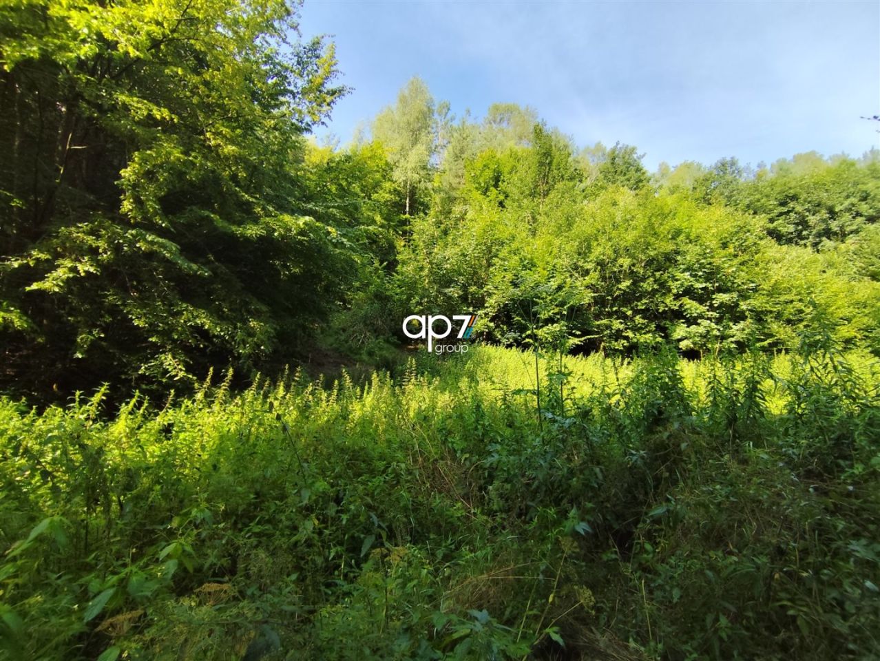 Działka rolna Będkowice. Zdjęcie 3