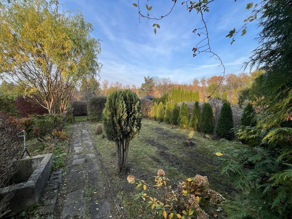 Działka rod Dąbrowa Górnicza. Zdjęcie 2