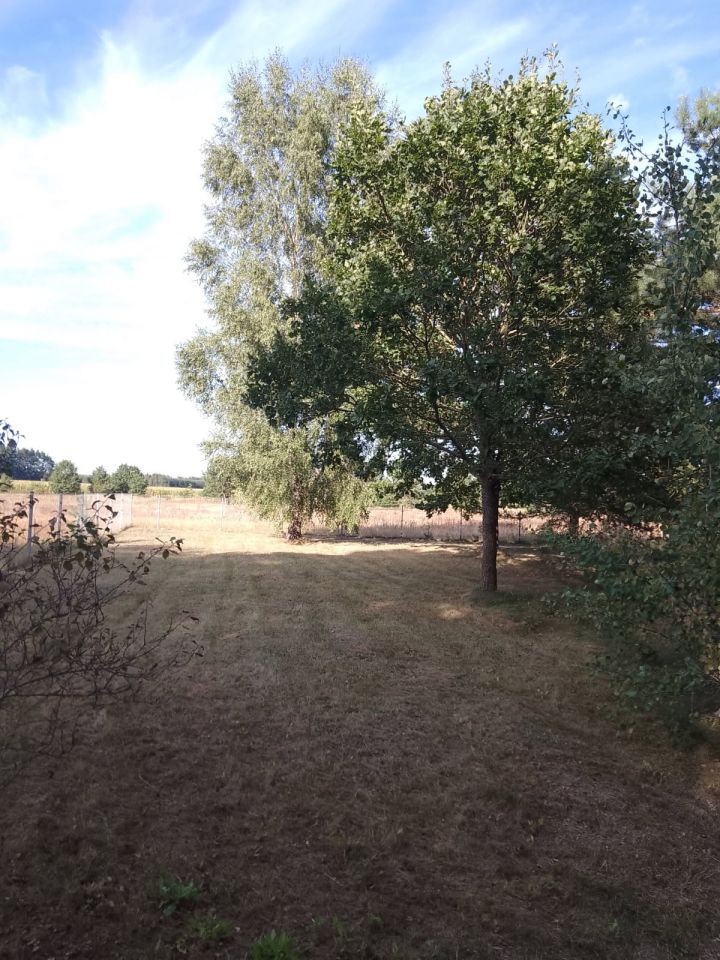 Działka rolno-budowlana Pupki. Zdjęcie 9