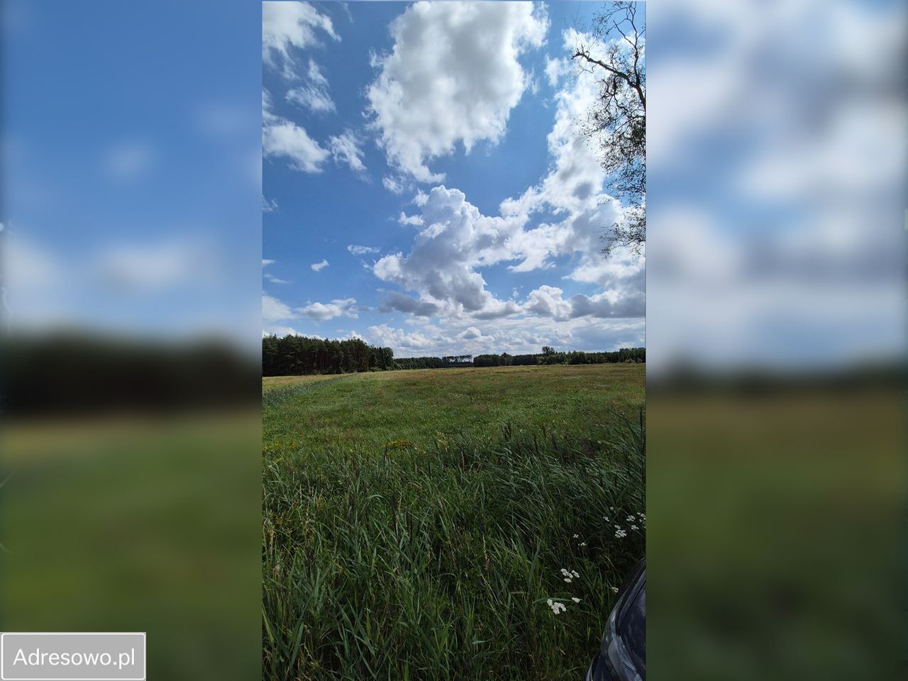 Działka inwestycyjna Czarne. Zdjęcie 6