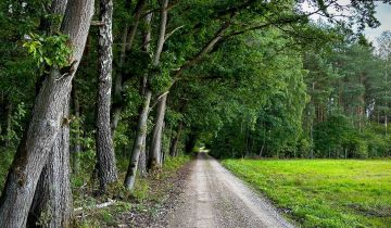 Działka Kaczków, ul. Leśna
