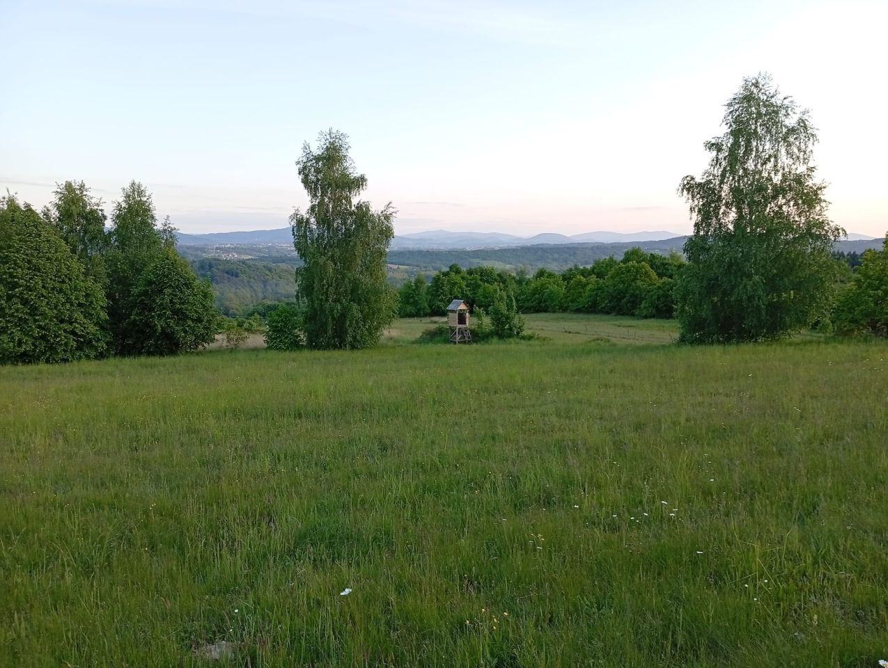 Działka budowlana Olchawa. Zdjęcie 1
