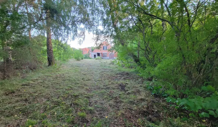 dom wolnostojący, 2 pokoje Głodowo
