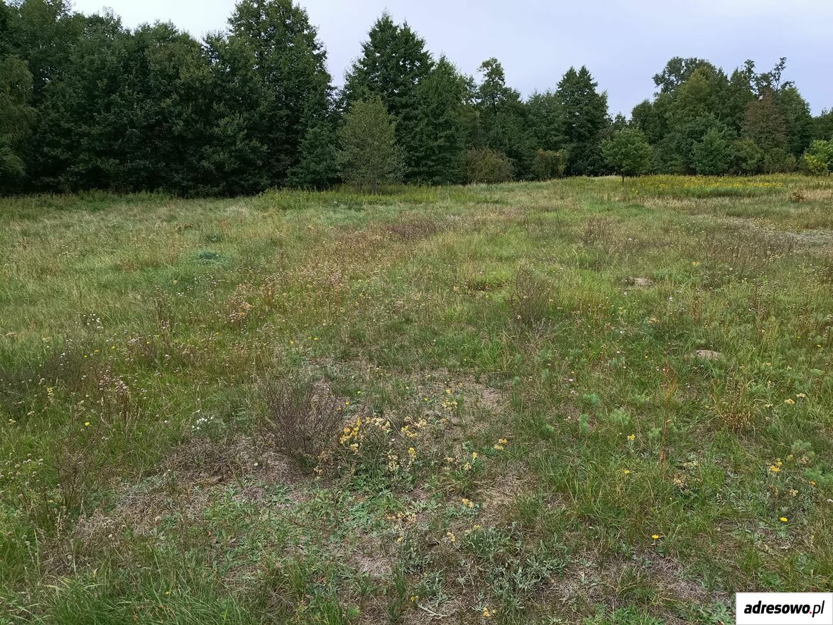 Działka rolna Stanisławów. Zdjęcie 5