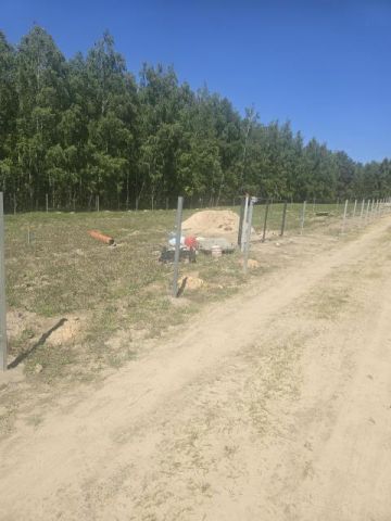 Działka leśna Drochówka. Zdjęcie 2