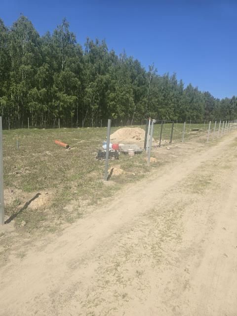 Działka leśna Drochówka. Zdjęcie 2