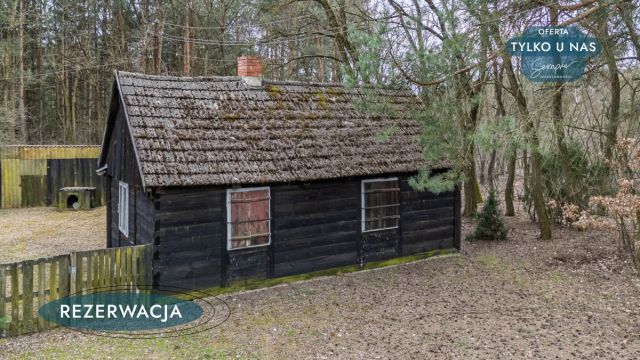 Działka leśna Kije. Zdjęcie 32