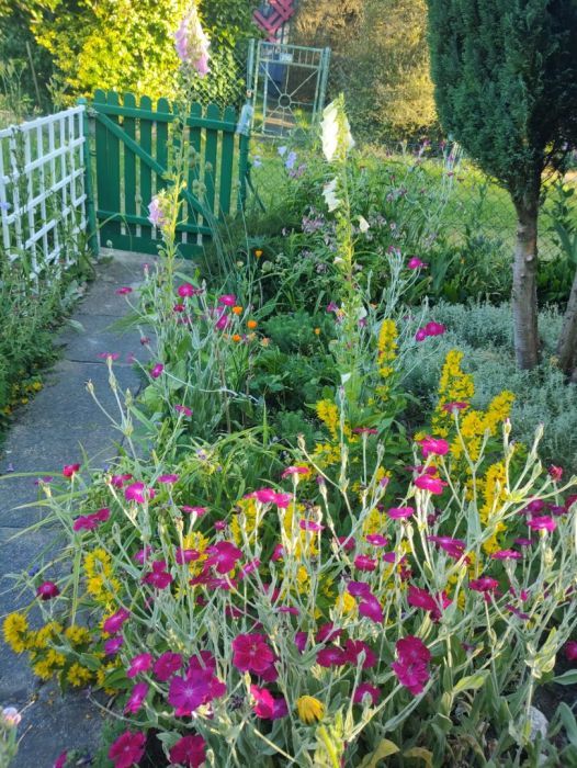 Działka rod Sopot Sopot Dolny, ul. Mikołaja Reja