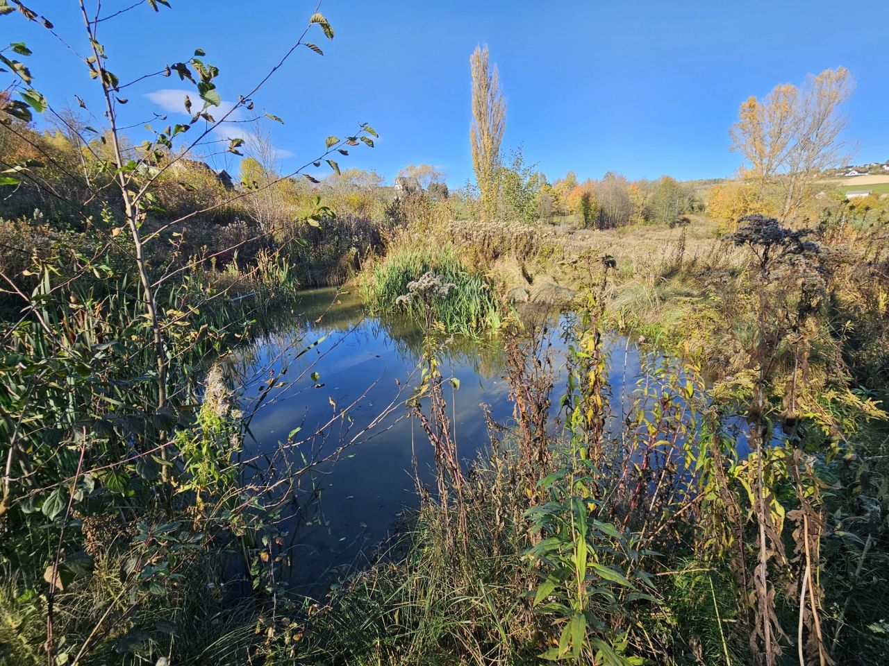 Działka rolno-budowlana Brzezna Jedlane. Zdjęcie 3