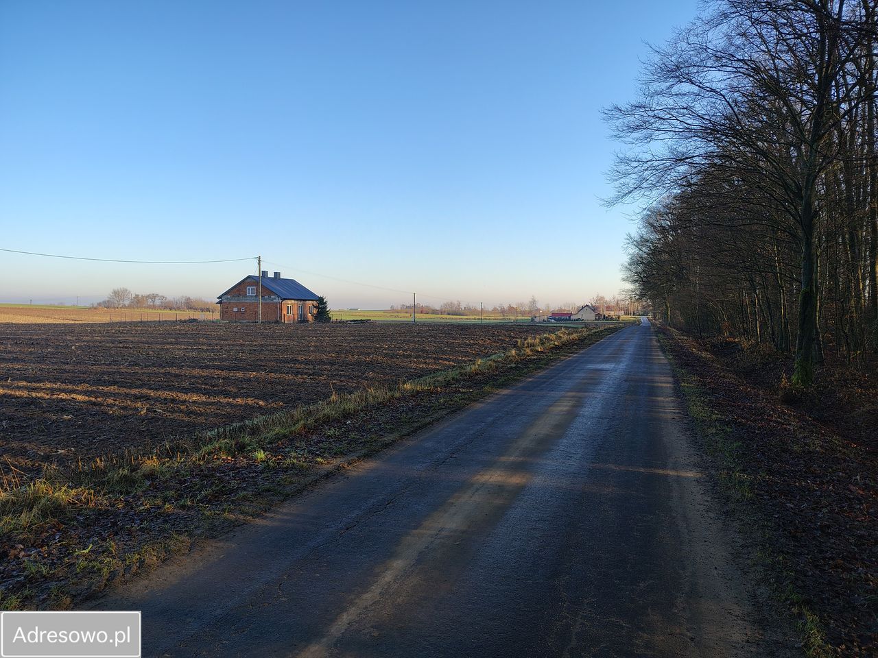 dom wolnostojący, 4 pokoje Kurowo-Parcele. Zdjęcie 4