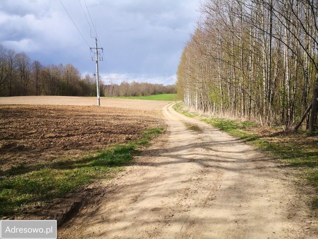Działka rolno-budowlana Węgielsztyn. Zdjęcie 8