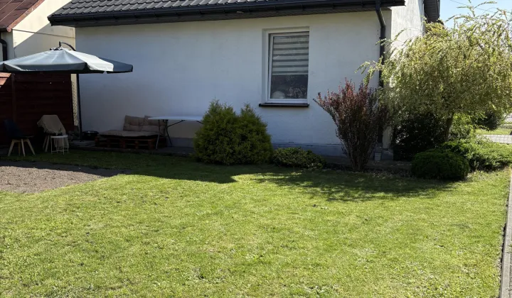 dom wolnostojący, 1 pokój Mława, ul. Padlewskiego