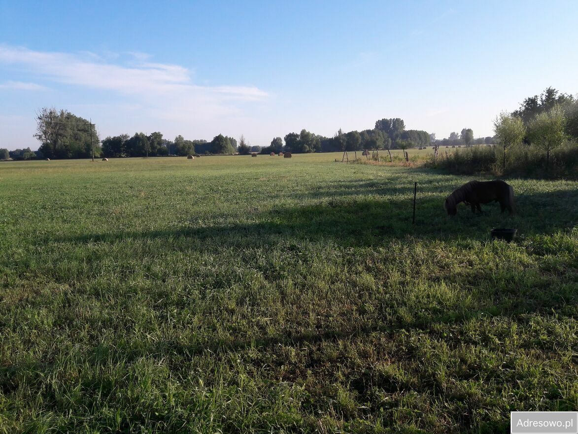 Działka rolno-budowlana Żółwin. Zdjęcie 6
