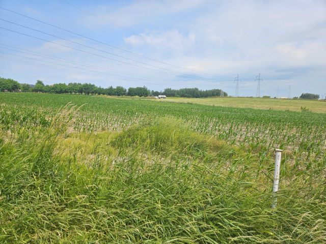 Działka rolno-budowlana Horodyszcze. Zdjęcie 1