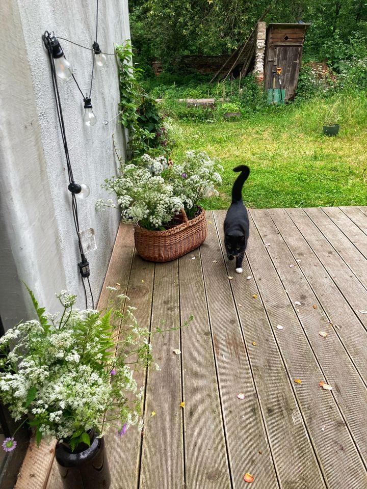 dom wolnostojący, 5 pokoi Łaniewo. Zdjęcie 20