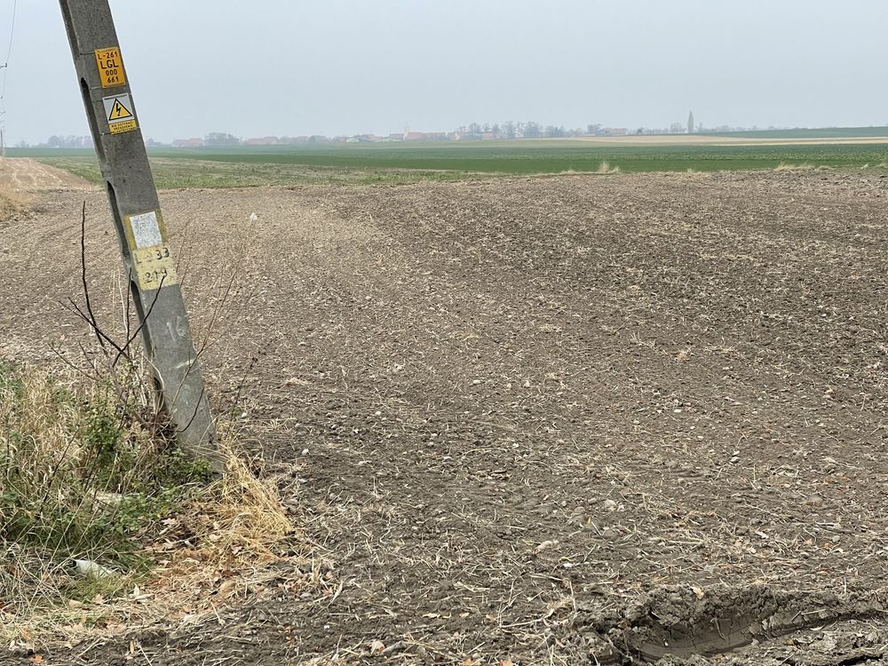 Działka budowlana Budziszów Wielki. Zdjęcie 6