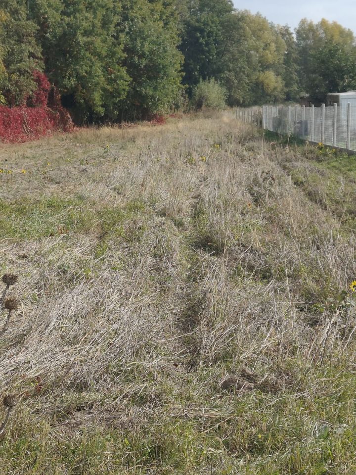 Działka na sprzedaż bez pośredników 
 
 Chłopice - Więcej