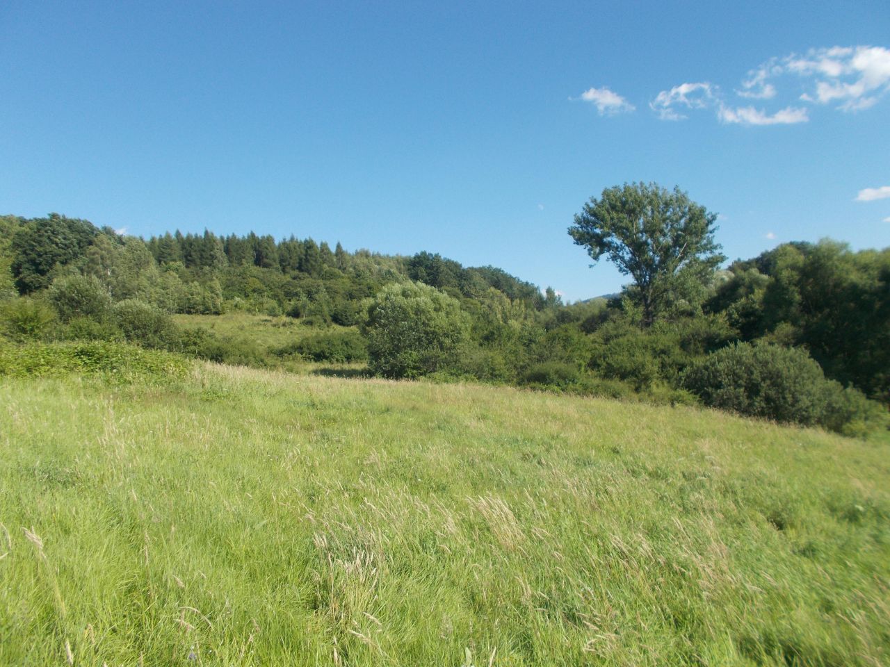 Działka rekreacyjna Wieprz. Zdjęcie 6