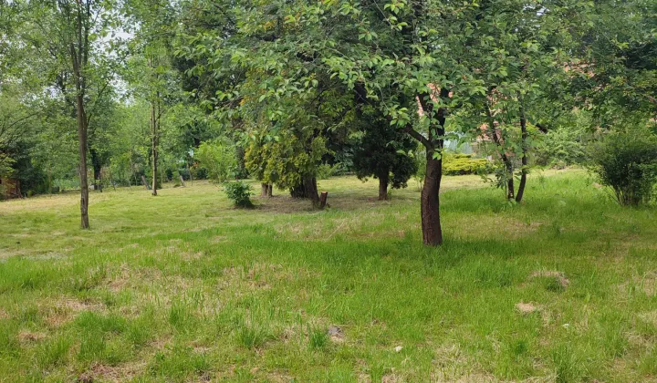 Działka rod Jarosław, ul. Benedyktyńska