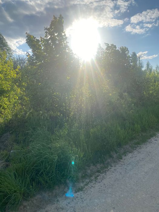 Działka budowlana Janczewo, ul. Okrężna. Zdjęcie 8